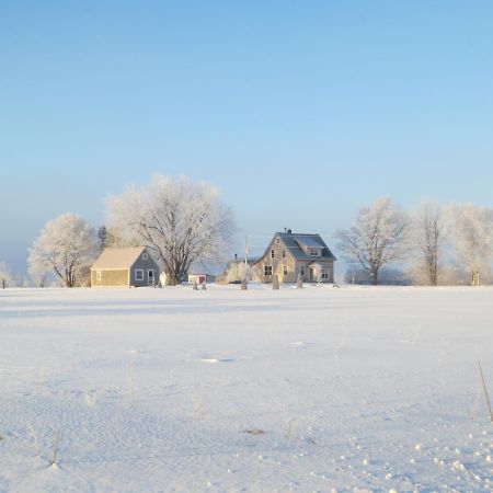 Sunbury Cove Winery Bed & Breakfast Miscouche Luaran gambar